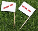 Toothpick Flag